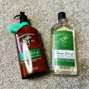 Bath & Body Works Aromatherapy Stress Relief Duo